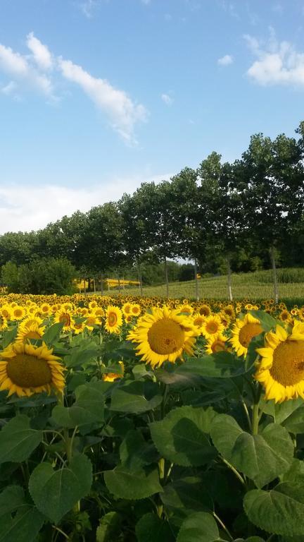 Le Chalet De Luxe Bed and Breakfast Saint-Séverin Esterno foto